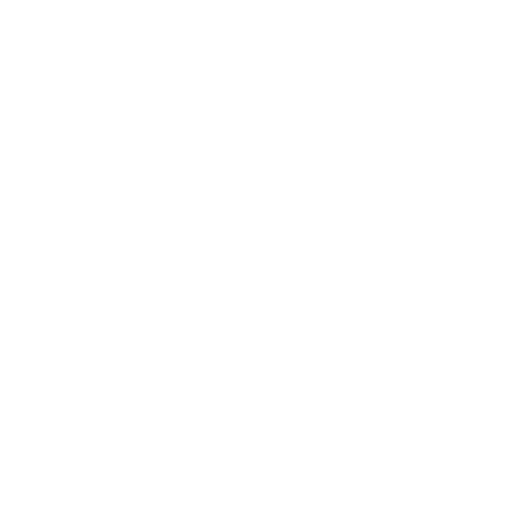 Optic Swiss Services