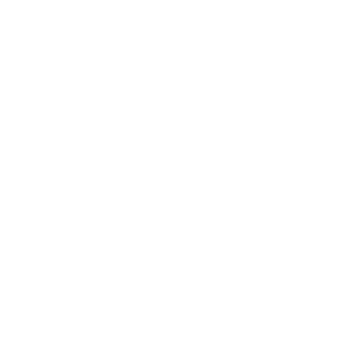 Optic Swiss Services